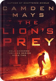 Published book